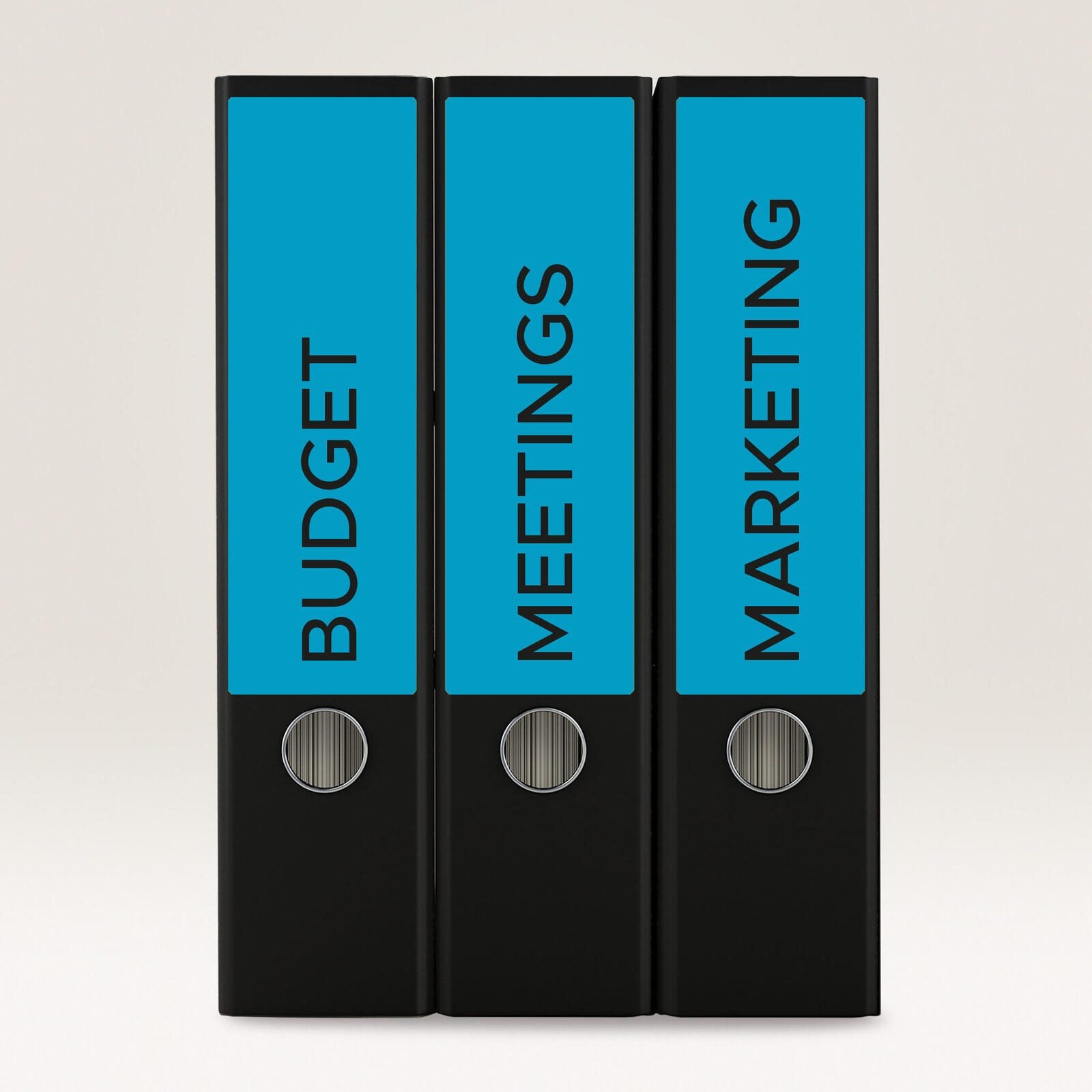 AVERY Zweckform Ordneretiketten 61,0 x 192,0 mm blau