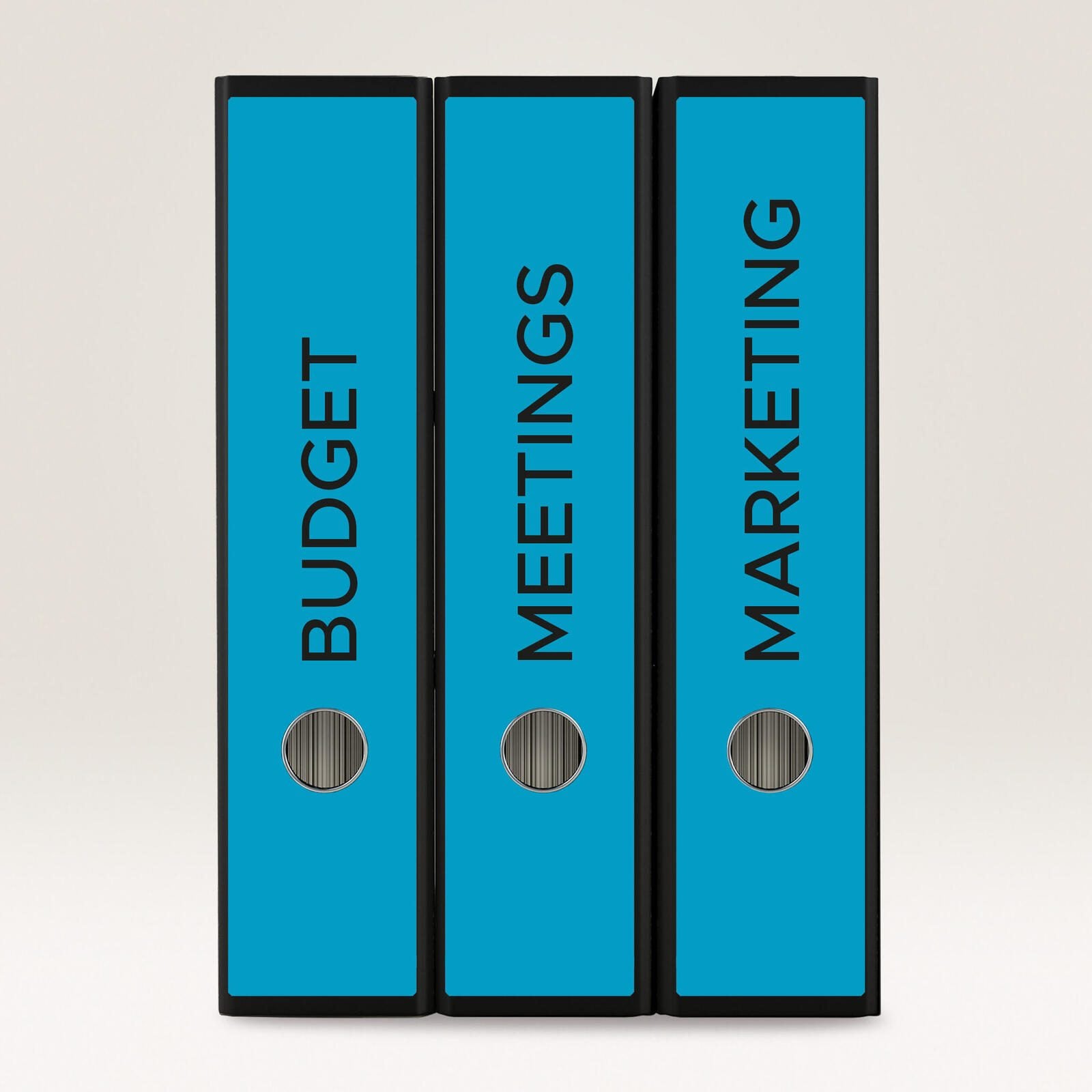 AVERY Zweckform Ordneretiketten 61,0 x 297,0 mm blau