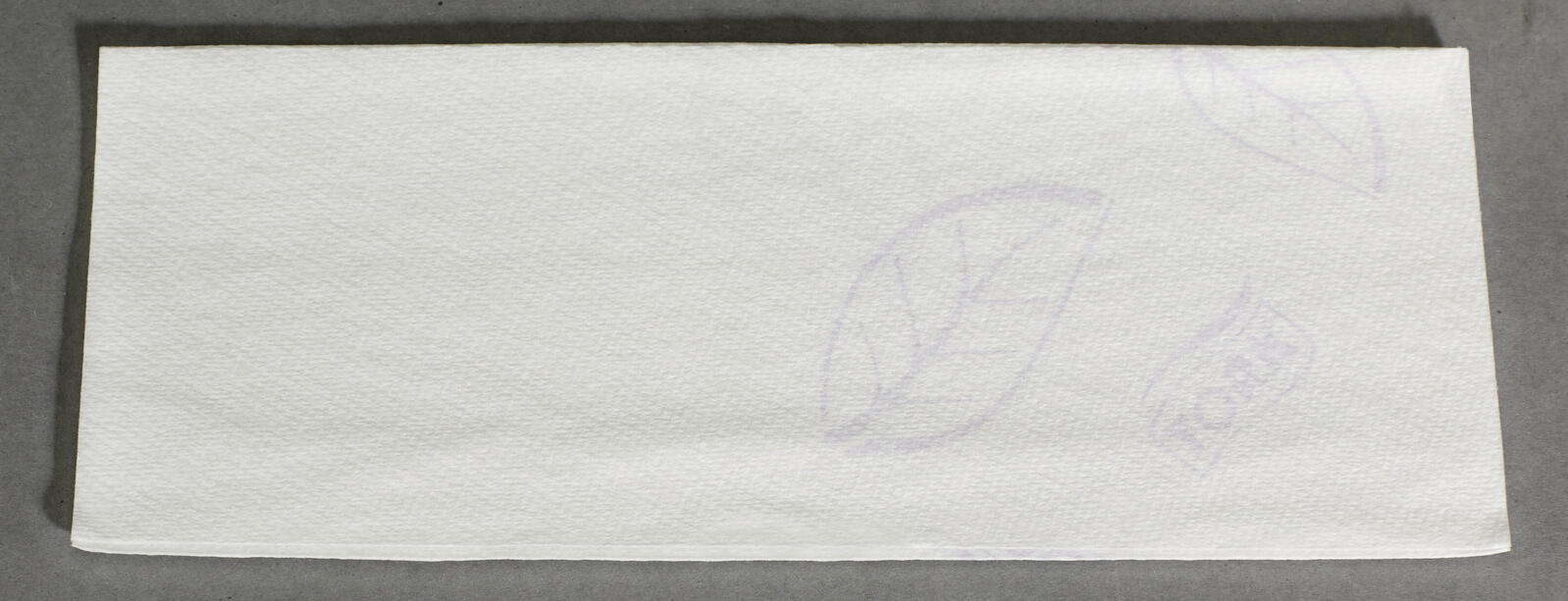TORK Papierhandtücher Xpress® H2 Premium Extra Soft 2-lagig