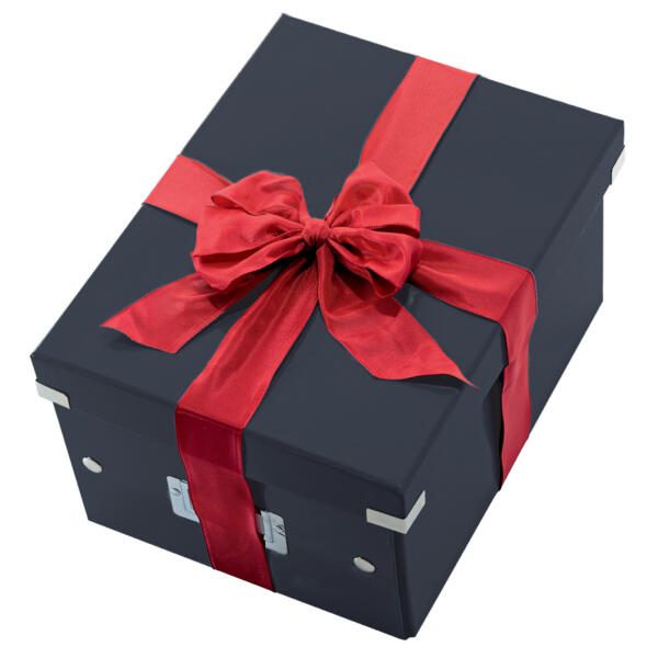 LEITZ Aufbewahrungsbox Click & Store 7,4 l - 21,6 x 28,2 x 16,0 cm schwarz
