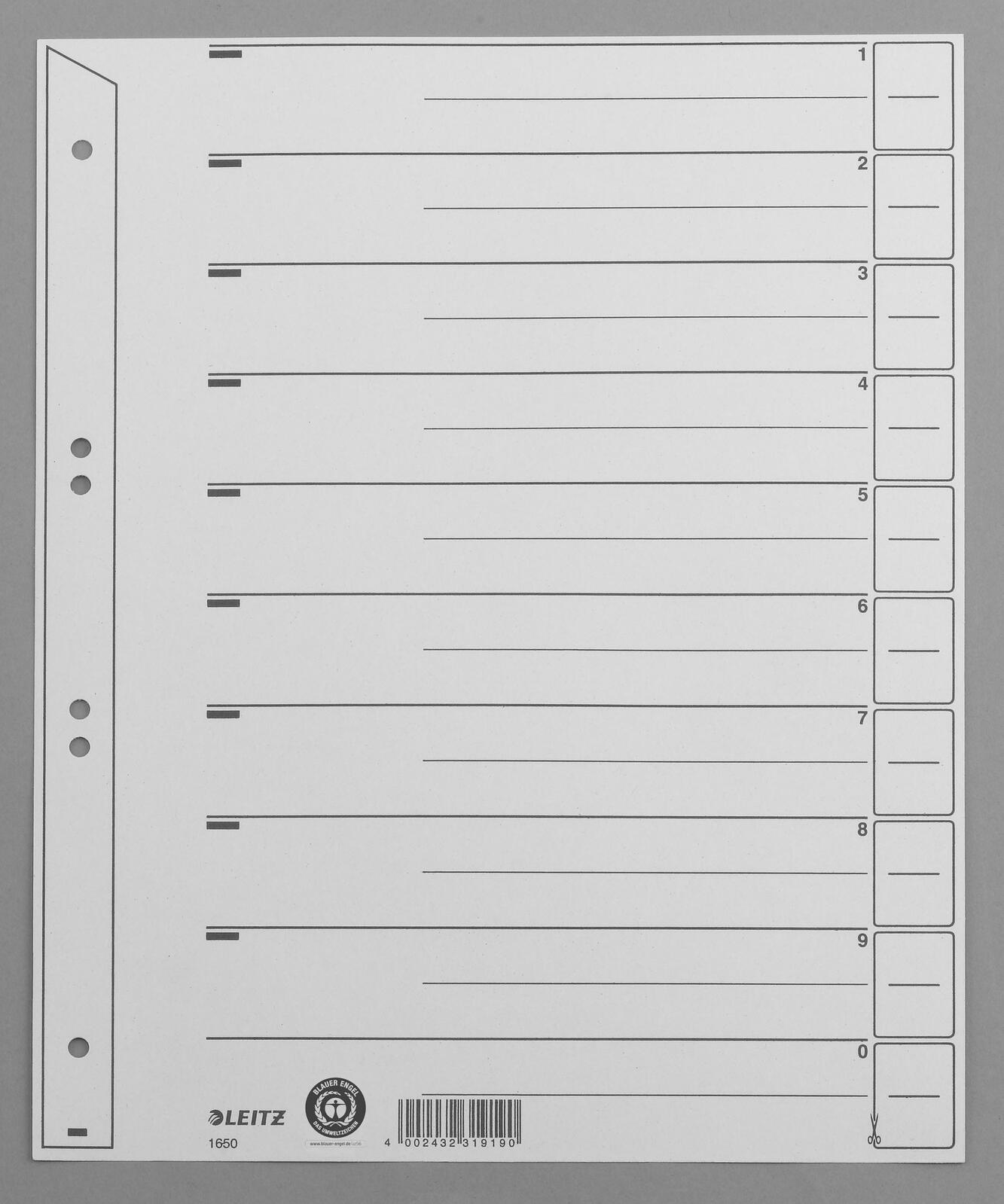 LEITZ 1656 Trennblätter 200 g/m² grau