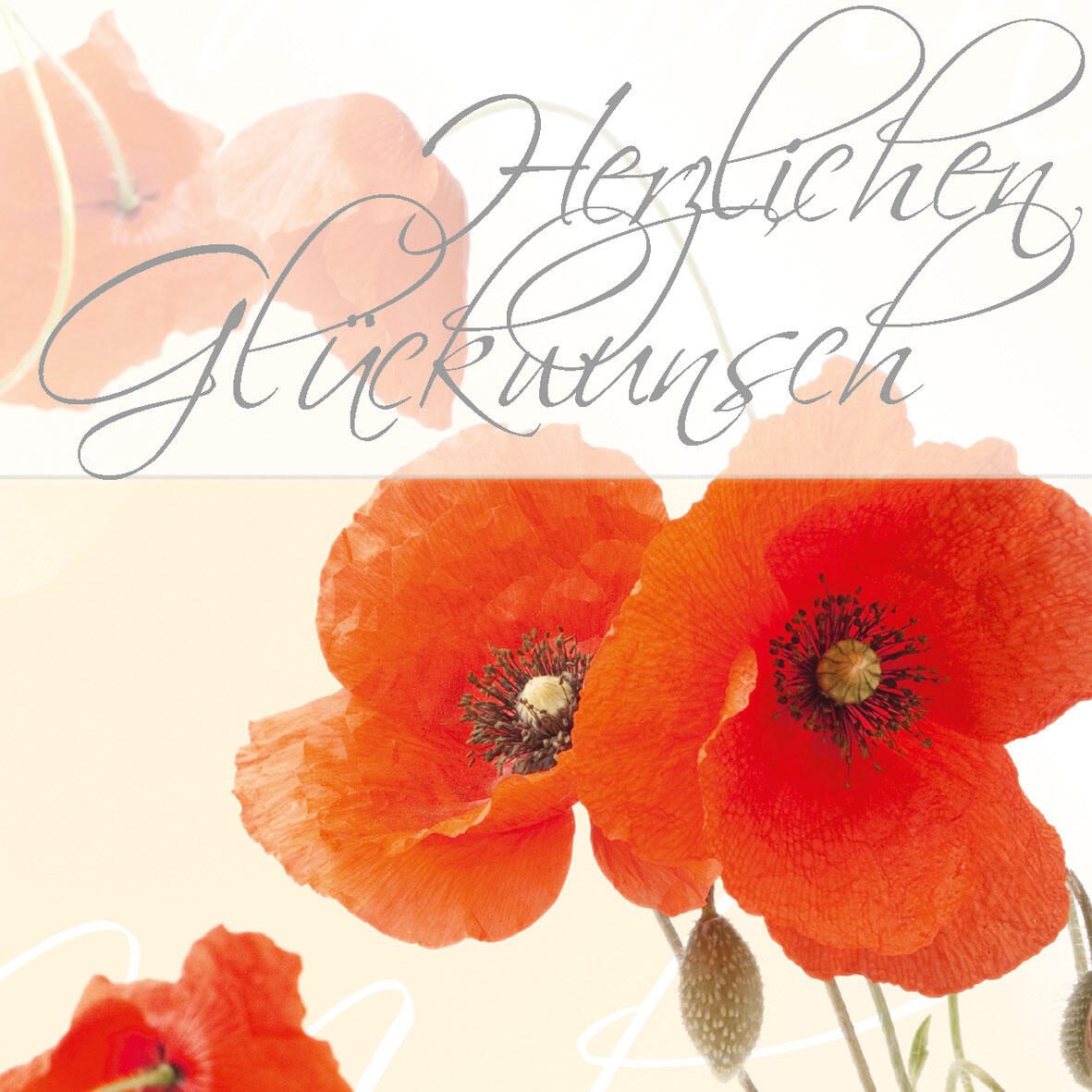 SIGEL Glückwunschkarten Red Poppies DIN A6