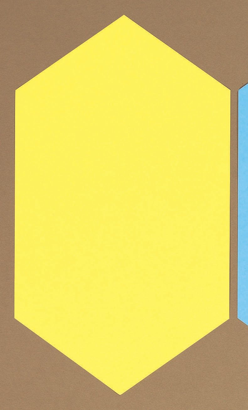 Moderationskarten 29,0 x 16,5 cm rot, weiß, grün, blau, gelb