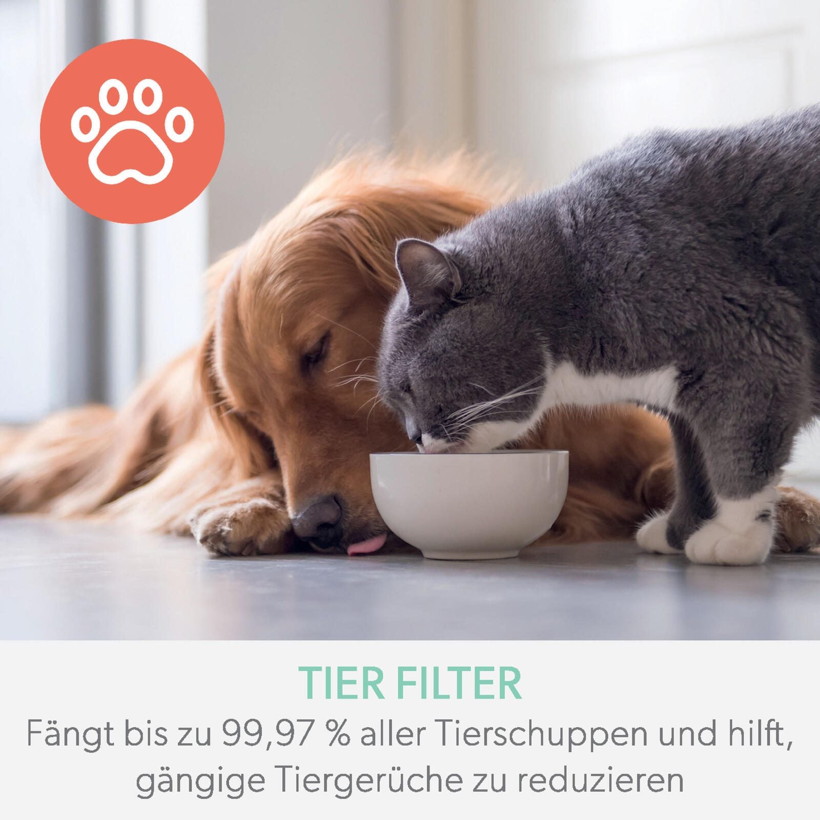 LEITZ Aktivkohlefilter für Luftreiniger