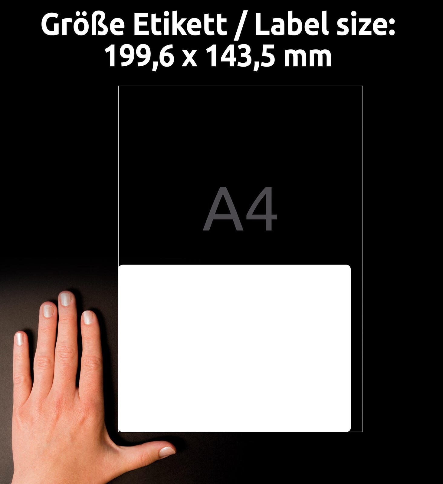 AVERY Zweckform Folien-Versandetiketten 199,6 x 289,1 mm