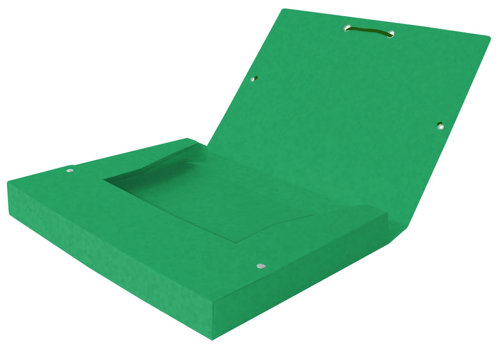 OXFORD Heftbox 2.5 cm DIN A4 grün