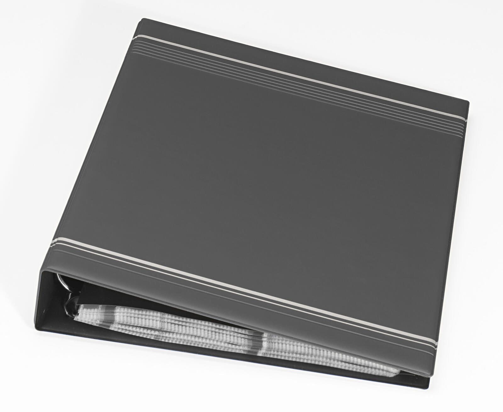 DURABLE Visitenkarten-Ringbuch anthrazit