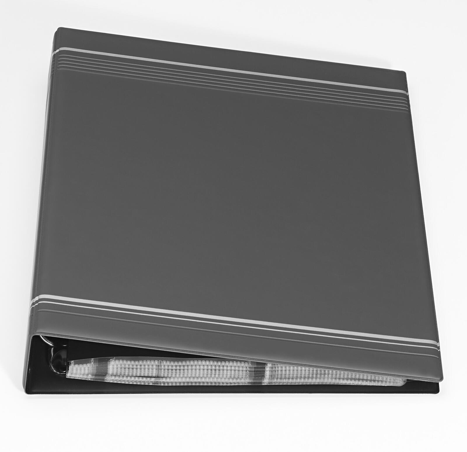 DURABLE Visitenkarten-Ringbuch anthrazit