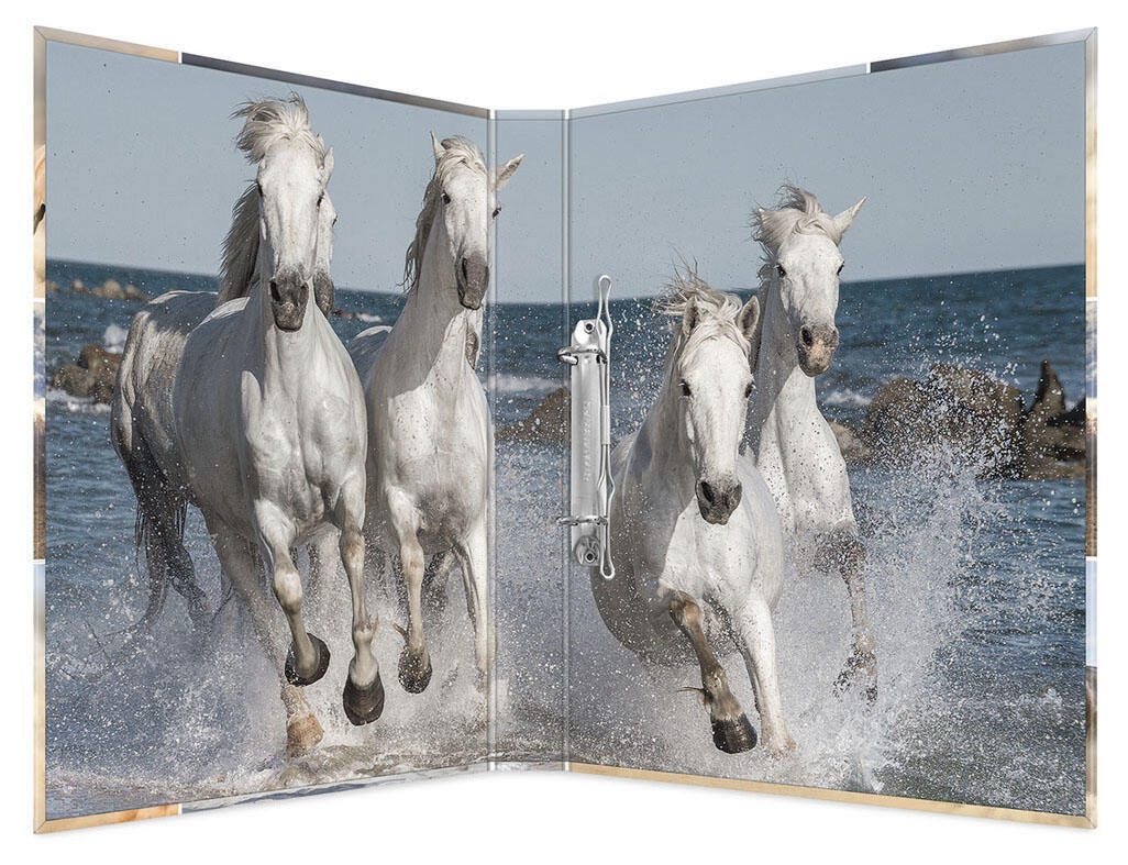 HERMA Ringbuch 2-Ringe DIN A4 3.5 cm Motiv