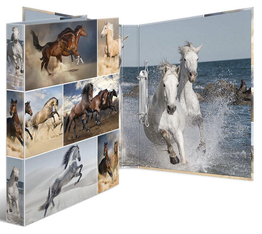 HERMA Ringbuch 2-Ringe DIN A4 3.5 cm Motiv