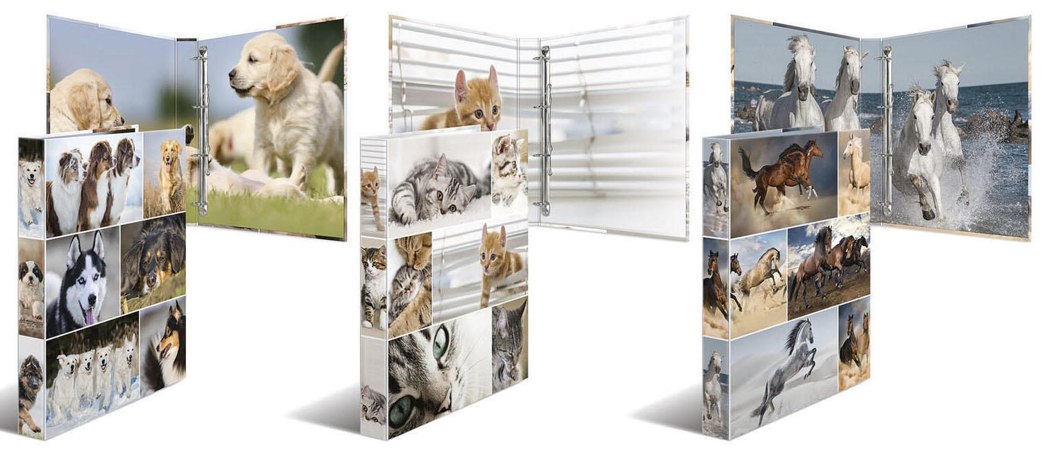 HERMA Ringbuch 2-Ringe DIN A4 3.5 cm Motiv