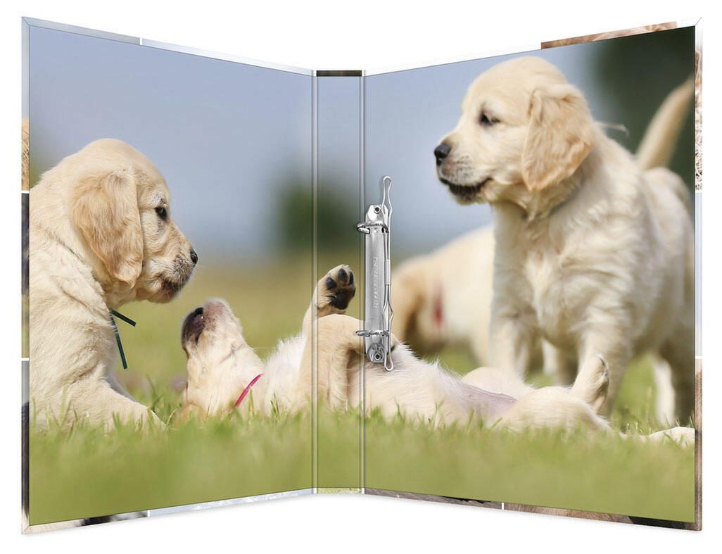 HERMA Ringbuch 2-Ringe DIN A4 3.5 cm Motiv