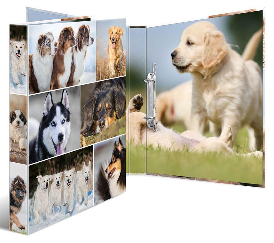 HERMA Ringbuch 2-Ringe DIN A4 3.5 cm Motiv
