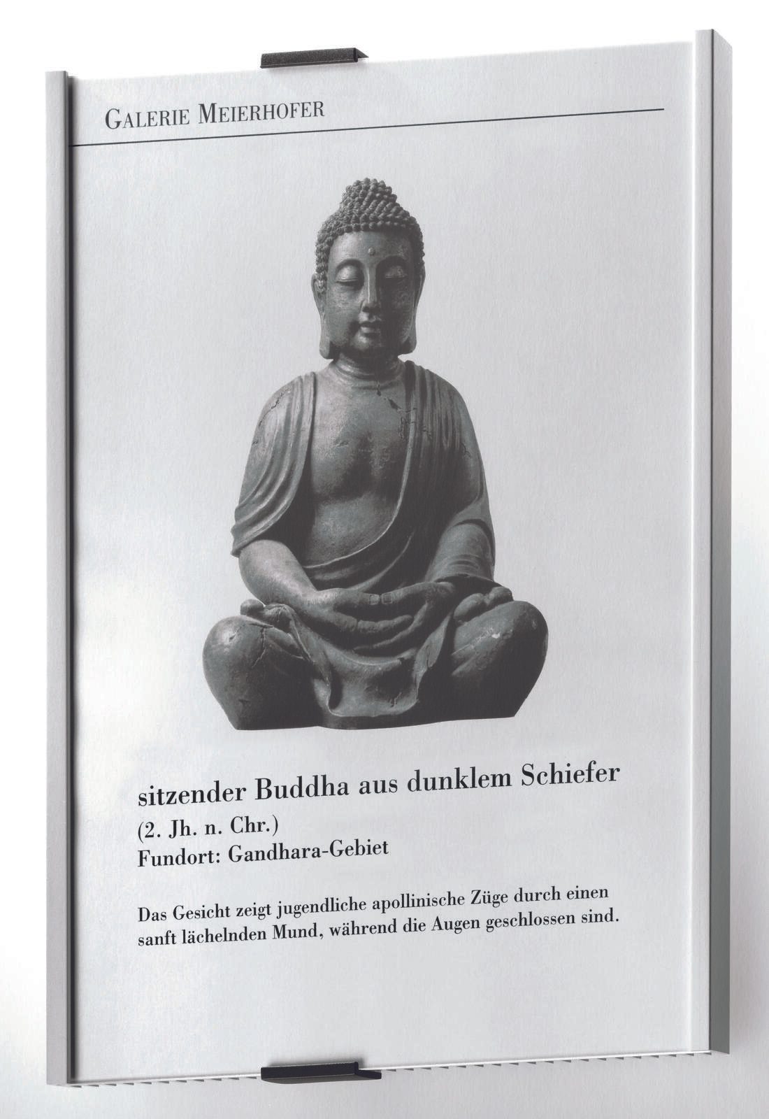 DURABLE Türschild 21,0 x 29,7 cm silber