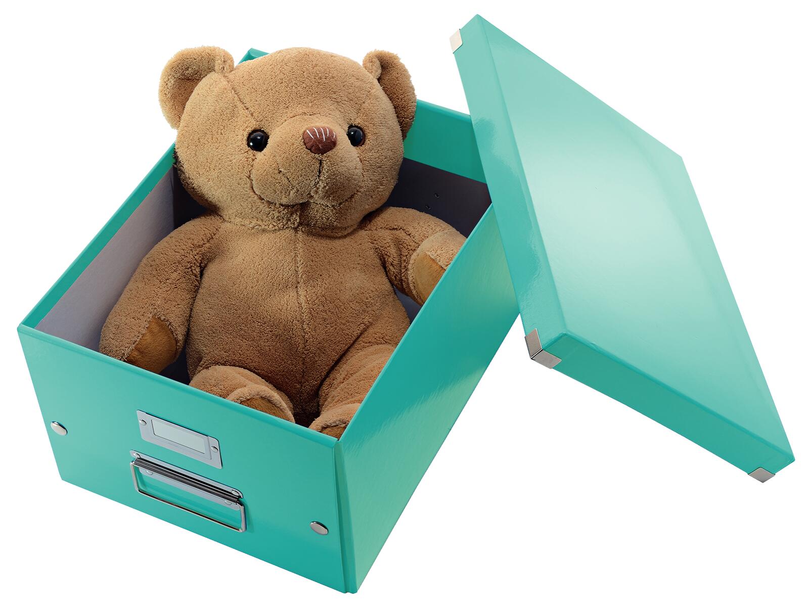LEITZ Aufbewahrungsbox 16,7 l - 28,1 x 36,9 x 20,0 cm eisblau