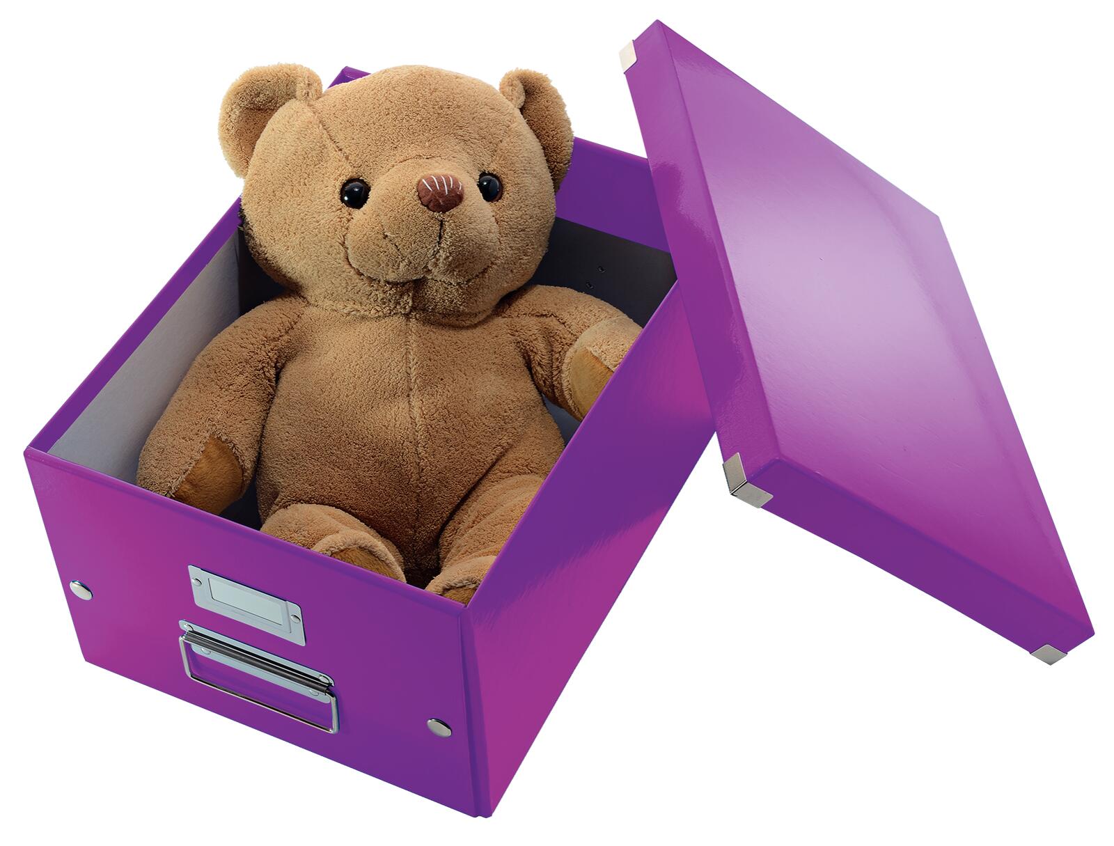 LEITZ Aufbewahrungsbox 16,7 l - 28,1 x 36,9 x 20,0 cm violett
