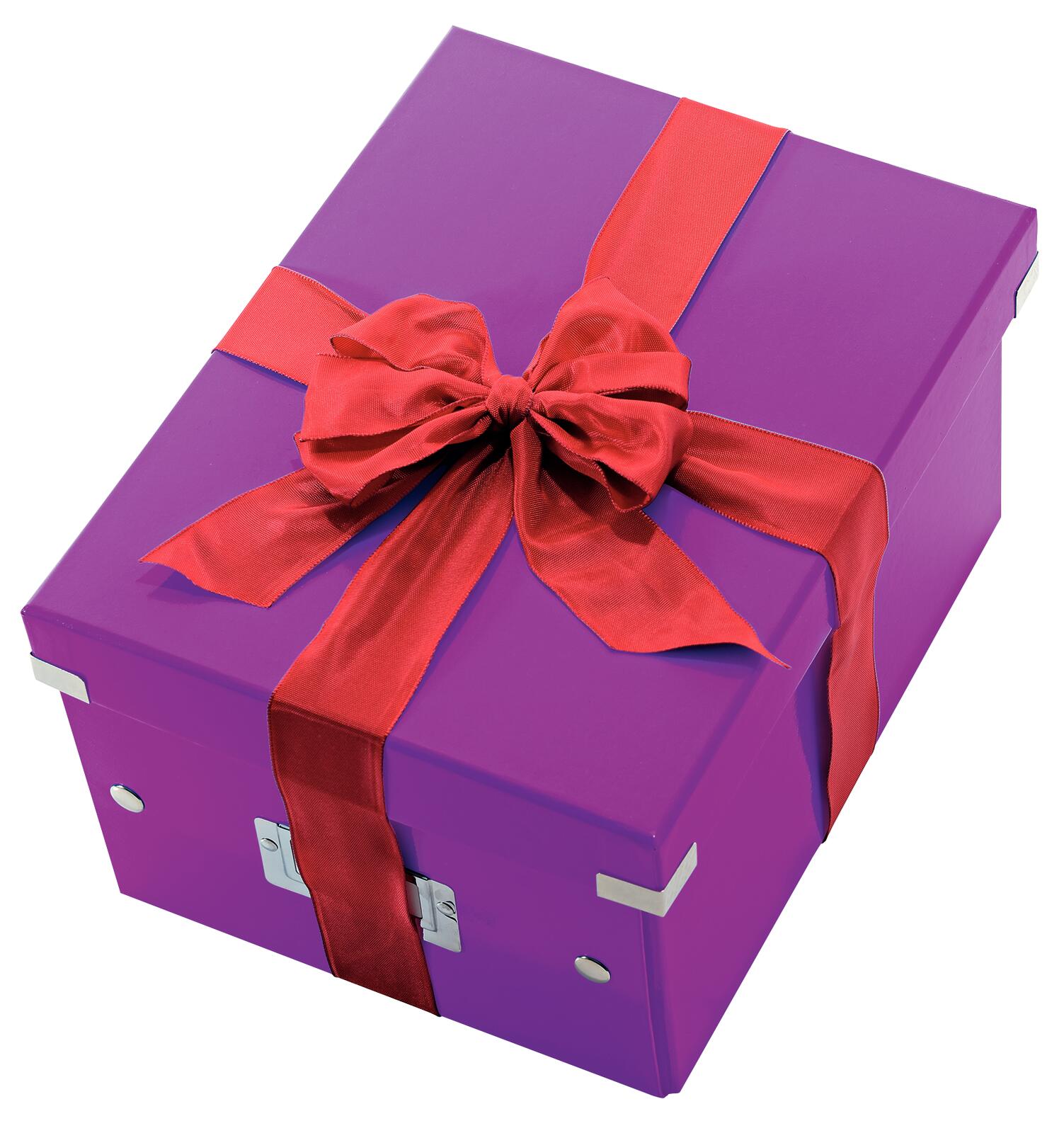 LEITZ Aufbewahrungsbox 16,7 l - 28,1 x 36,9 x 20,0 cm violett