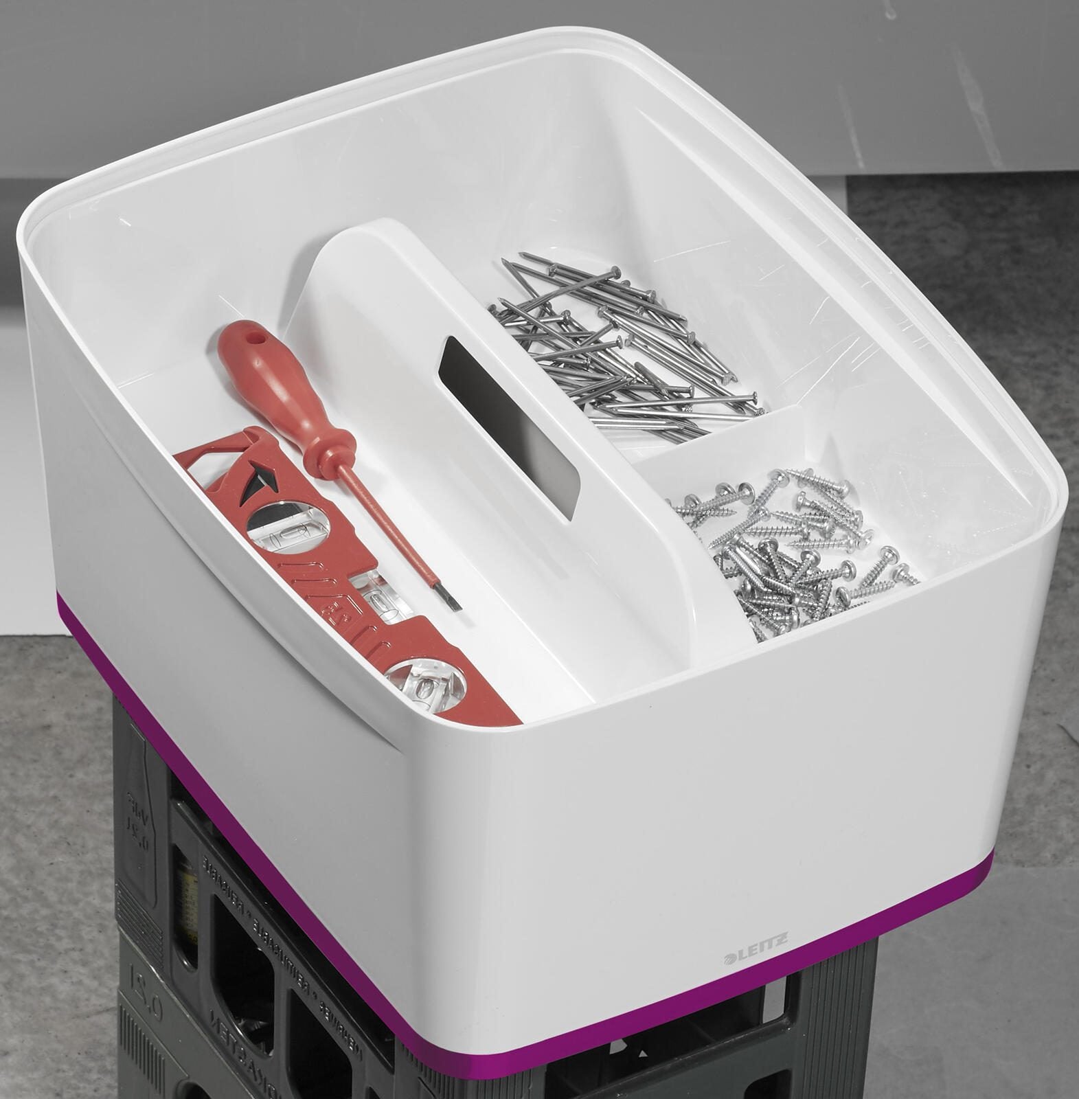 LEITZ Aufbewahrungsbox 18,0 l - 38,5 x 31,8 x 19,8 cm perlweiß/pink