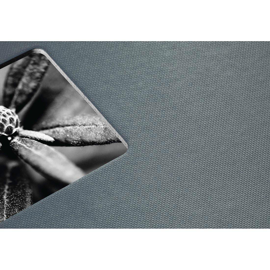 Hama Fotoalbum 28,0 x 24,0 cm