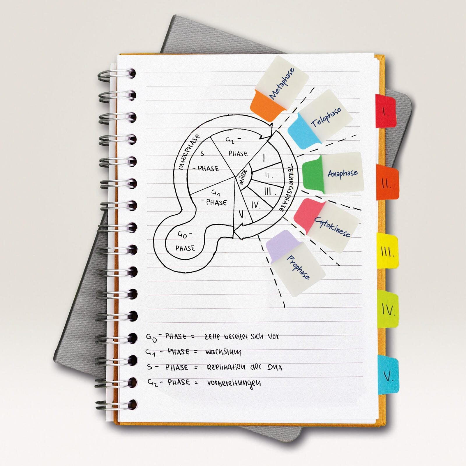 AVERY Zweckform Haftmarker 2,5 x 3,8 cm