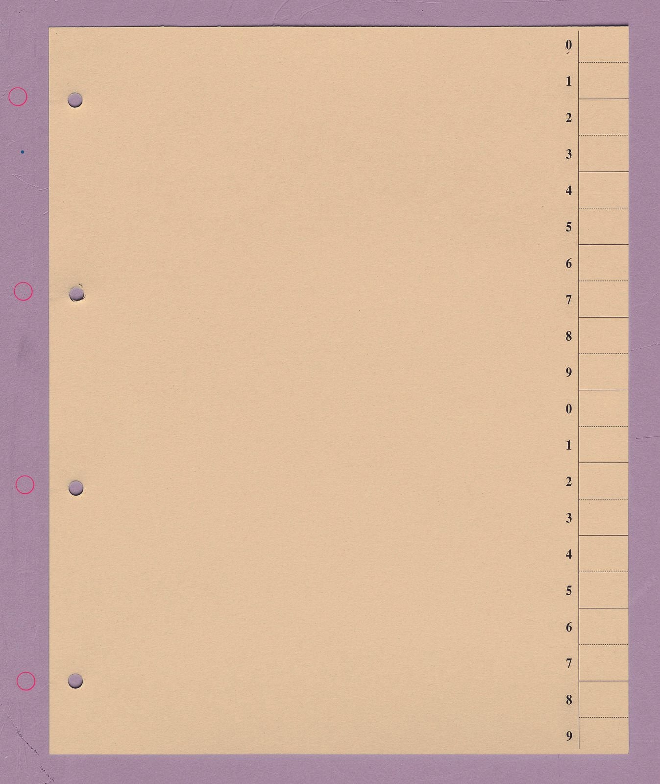 Trennblätter DIN A4 200 g/m² chamois