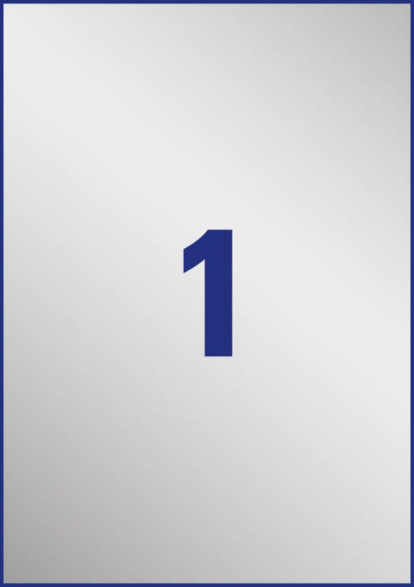 AVERY Zweckform Typenschildetiketten 210,0 x 297,0 mm