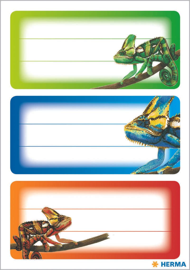 HERMA Schuletiketten Gecko
