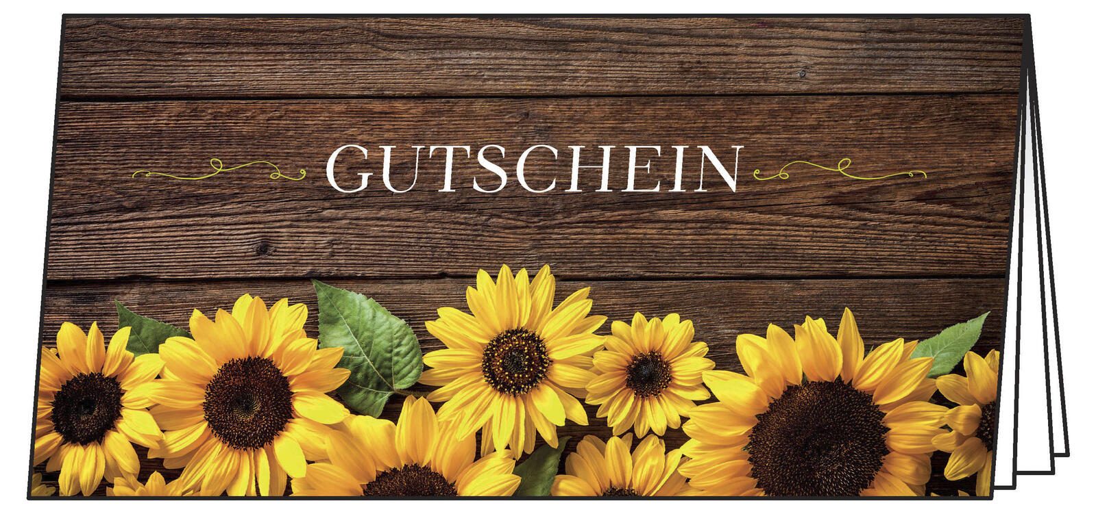 SIGEL Gutscheine DS101 DIN lang