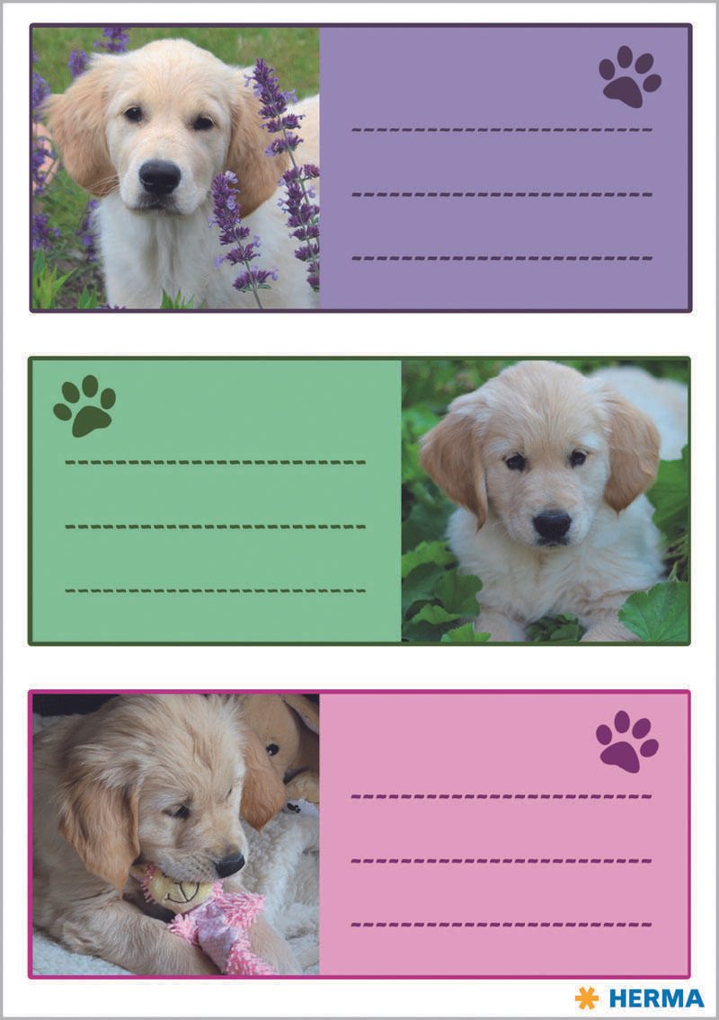 HERMA Schuletiketten Hunde