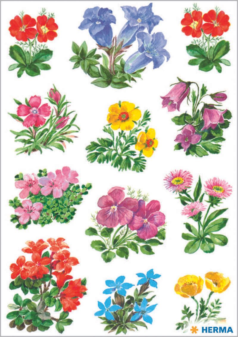 HERMA Aufkleber Blumen