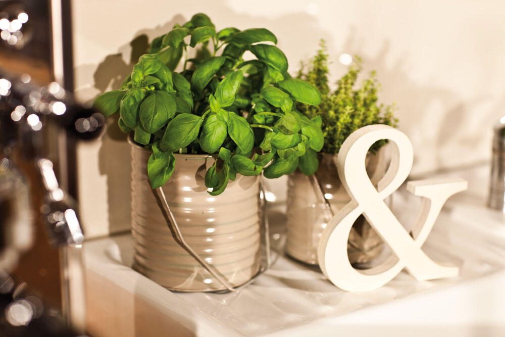 edding Acrylspray Sprühfarbe cremeweiß matt