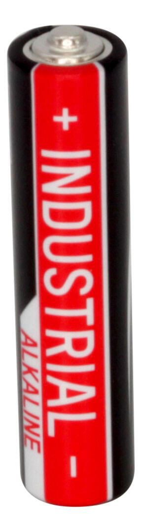 ANSMANN Batterien Micro AAA 1.5 V