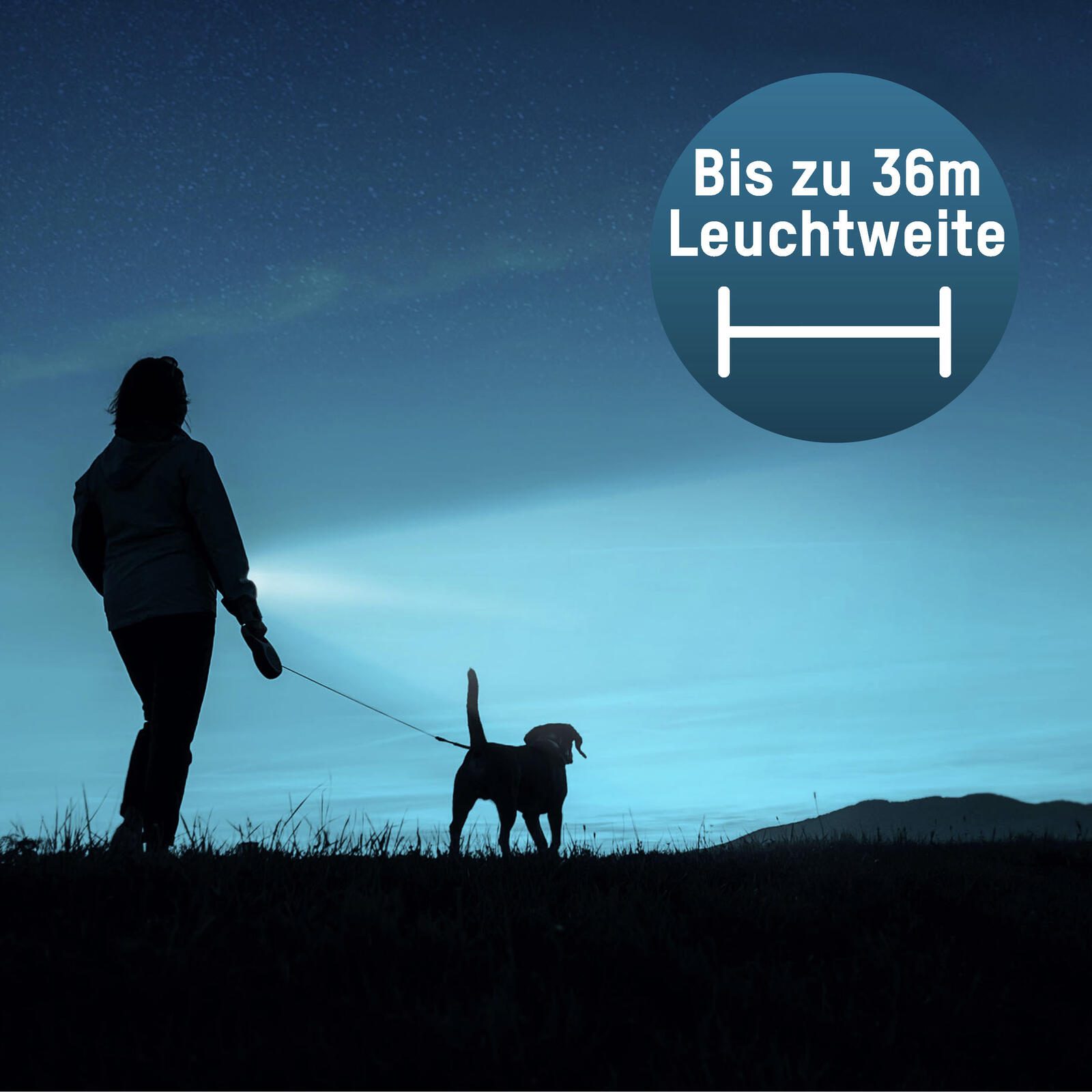 ANSMANN Taschenlampe silber