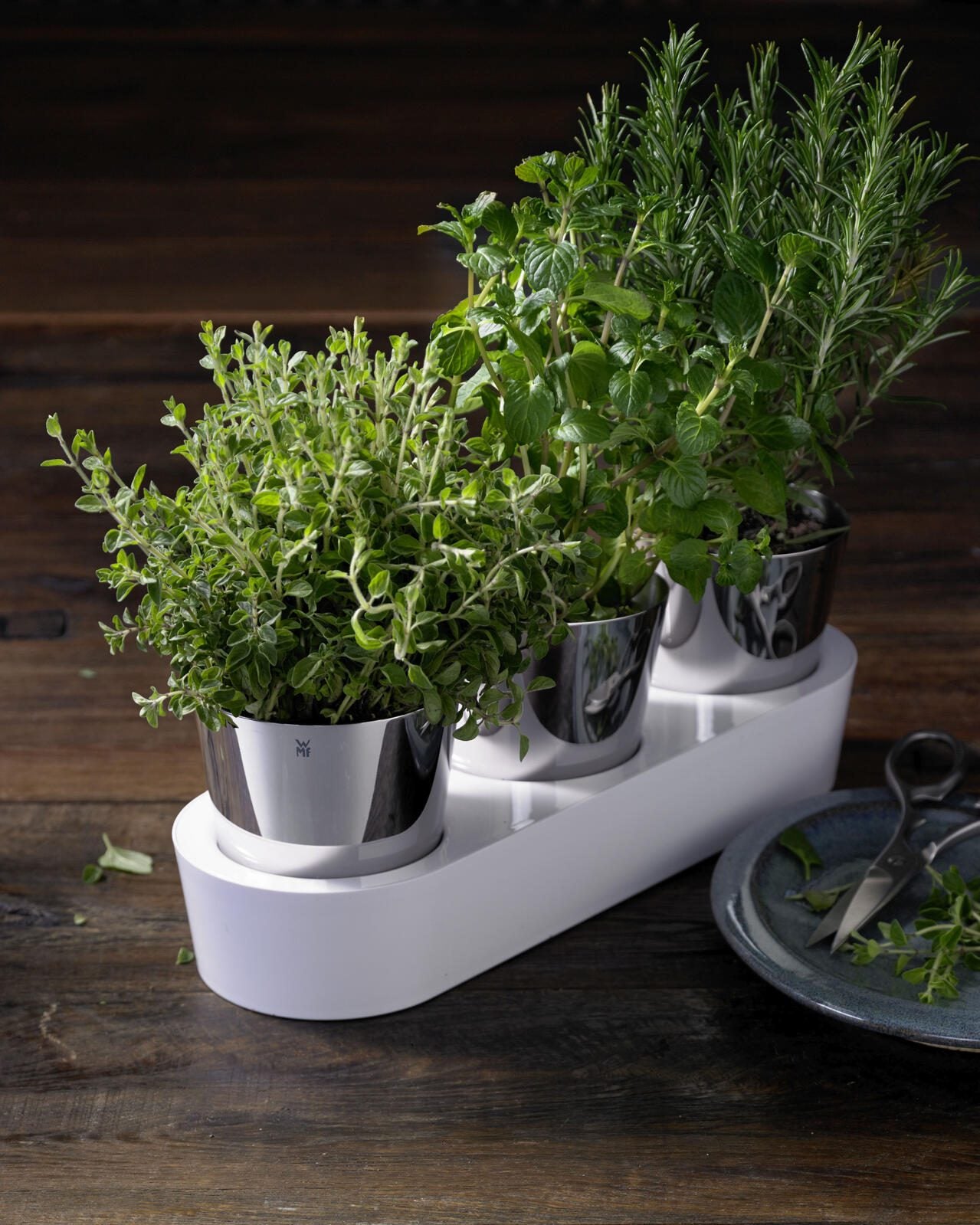 WMF Gourmet Kräutertopf-Set silber