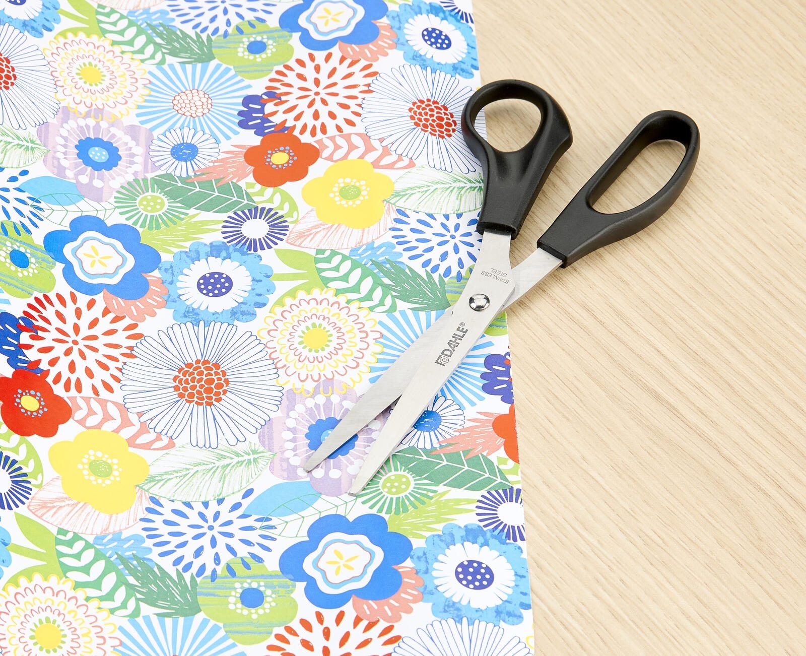 DAHLE Scheren-Set