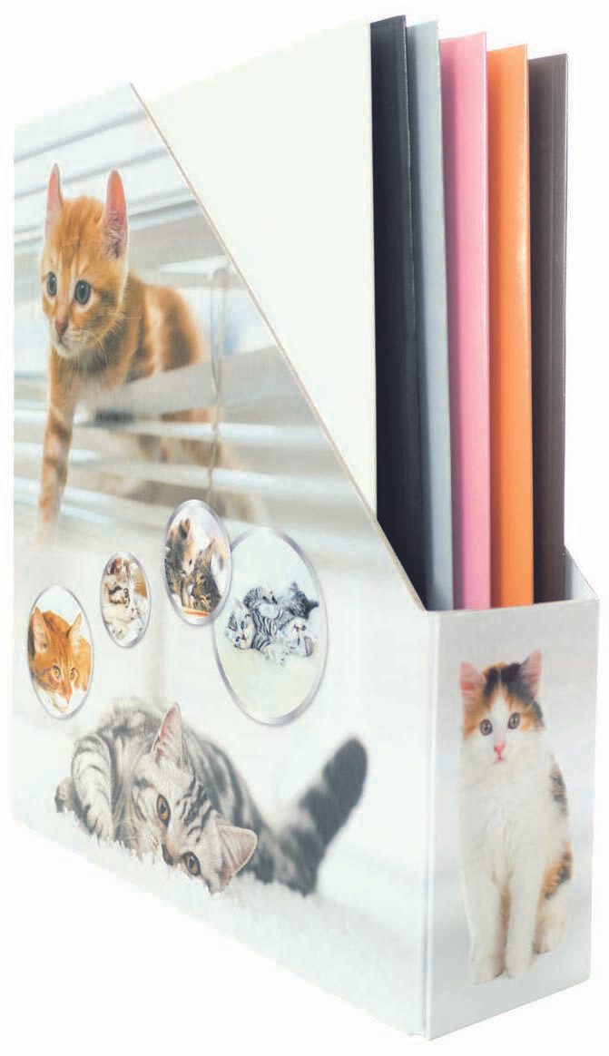 HERMA Stehsammler Karton Katzen , DIN A4