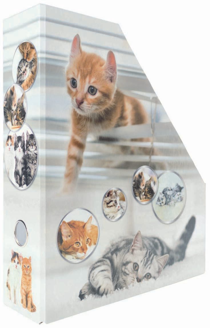HERMA Stehsammler Karton Katzen , DIN A4