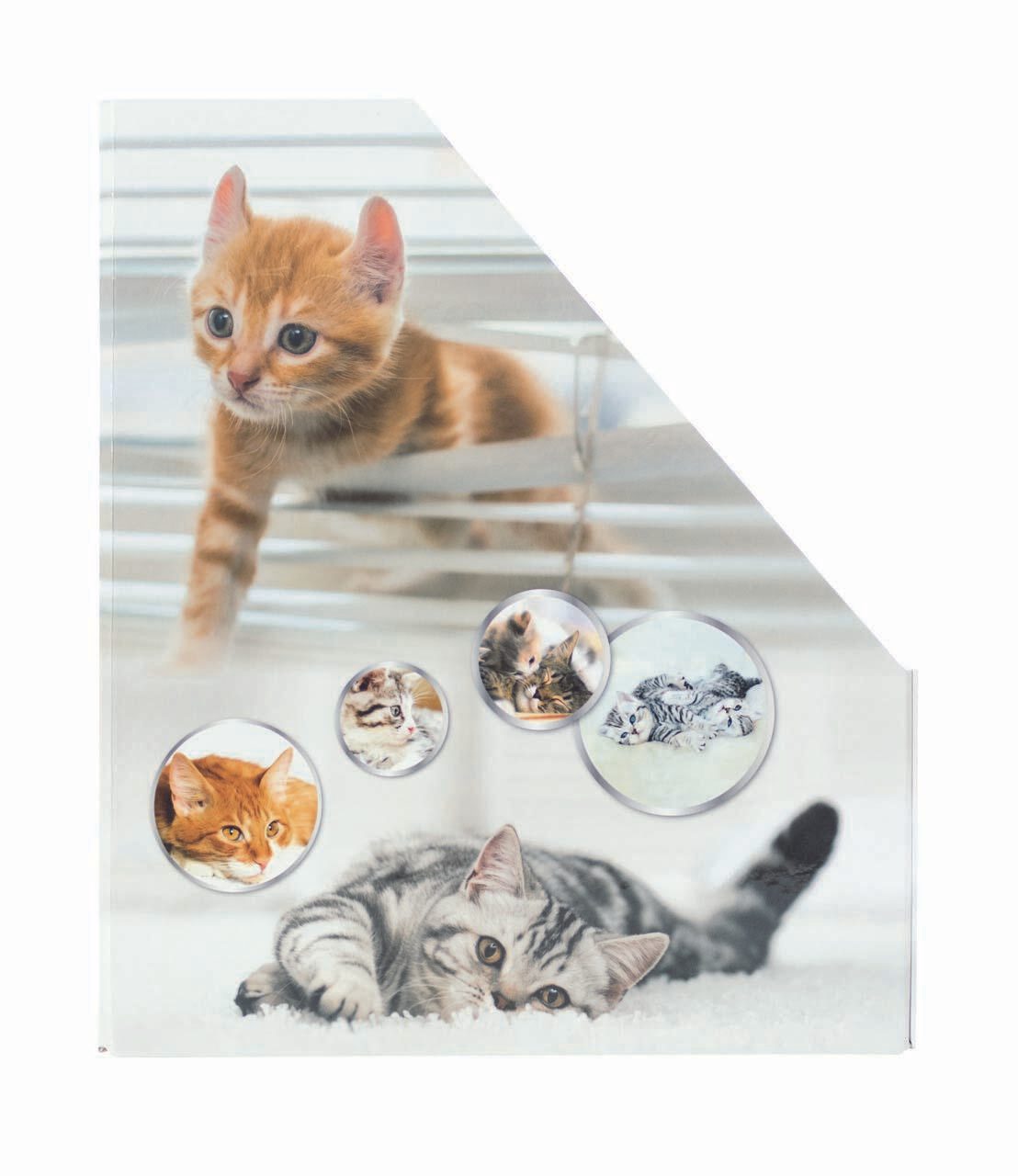 HERMA Stehsammler Karton Katzen , DIN A4