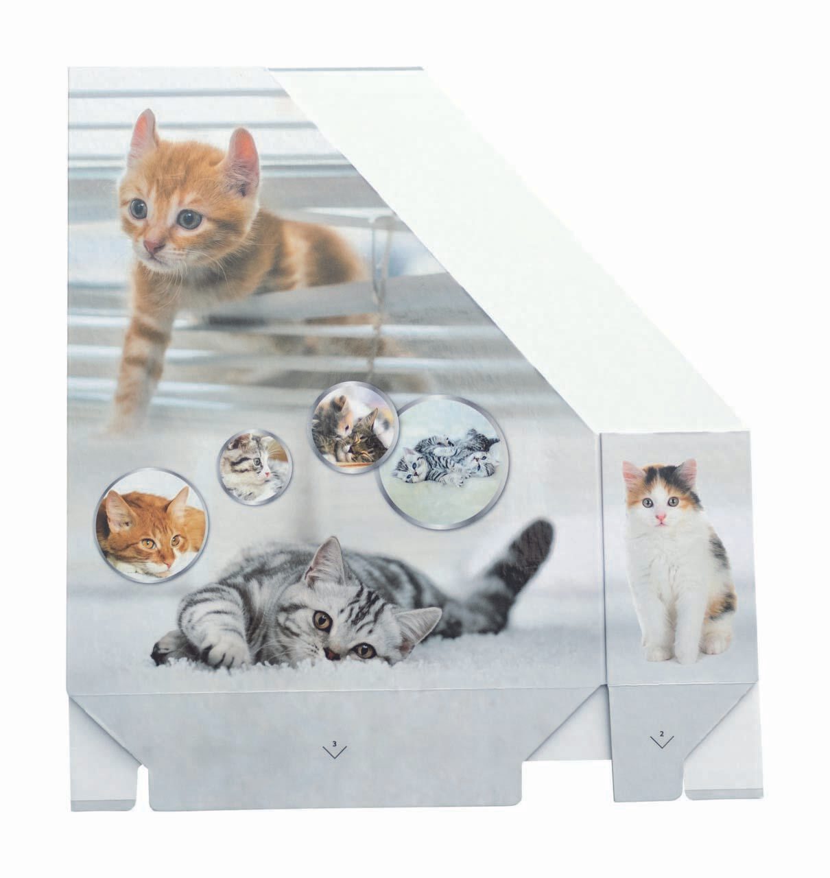HERMA Stehsammler Karton Katzen , DIN A4