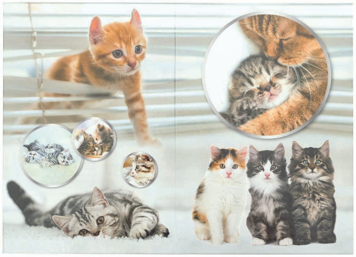 HERMA Papierkorb 15,0 l Katzen