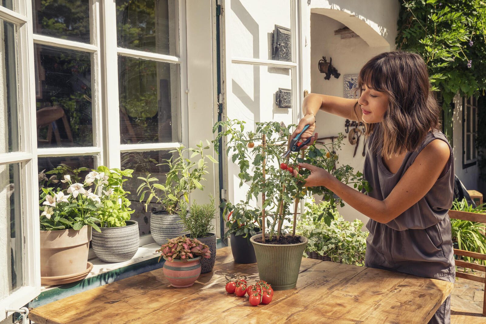 GARDENA FreshCut mit Kräuterschildern Gartenschere