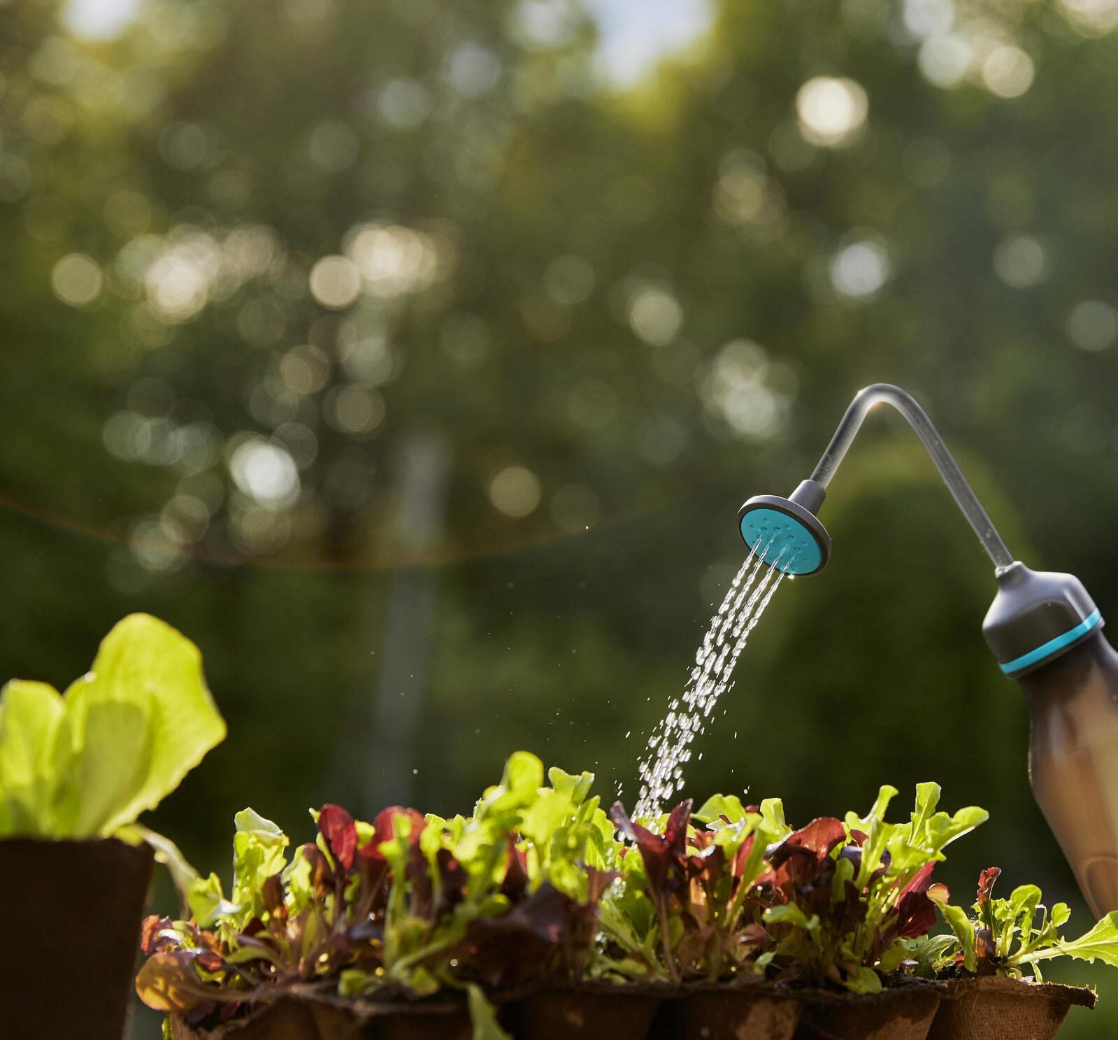 GARDENA Sprühflasche anthrazit