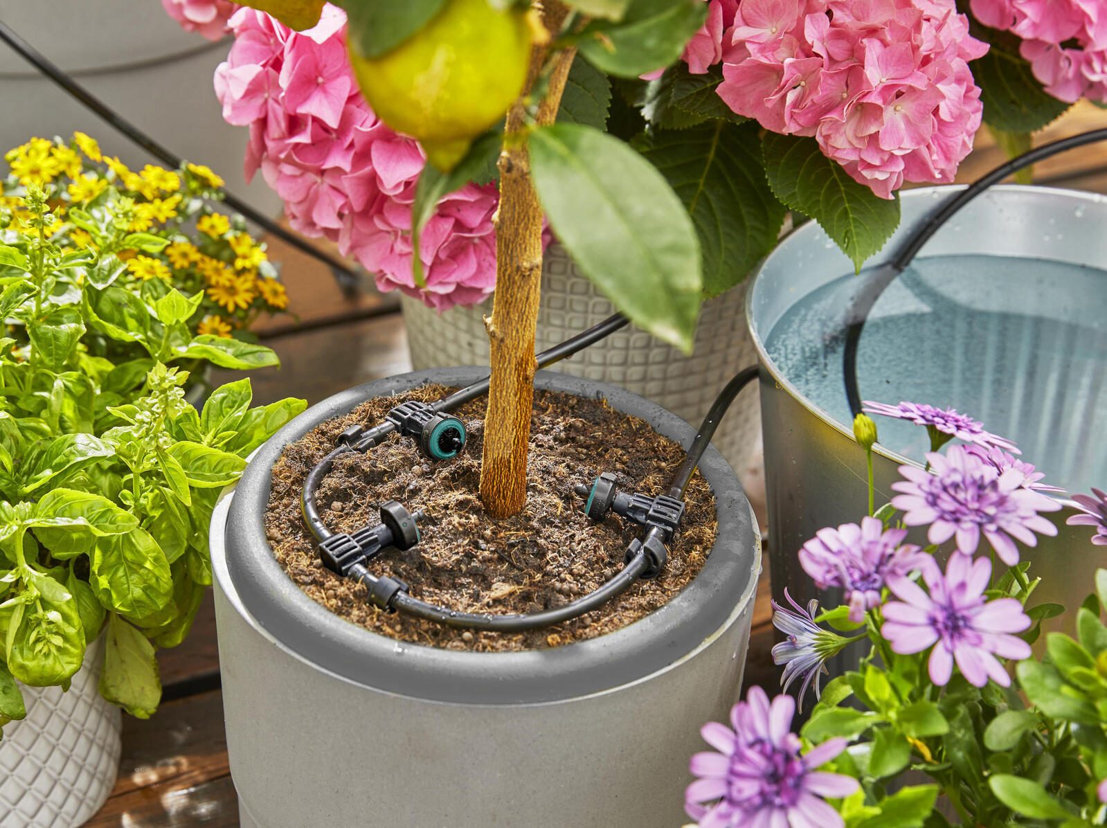 GARDENA Solar-Bewässerungs-Set AquaBloom Set