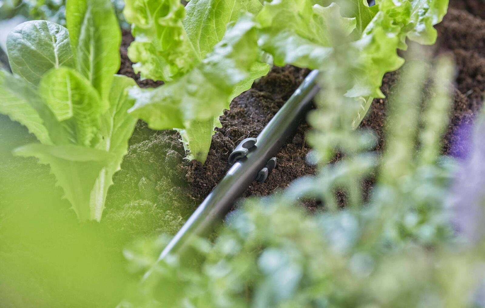 GARDENA Rohrhalter Micro-Drip-System 13mm (1/2')