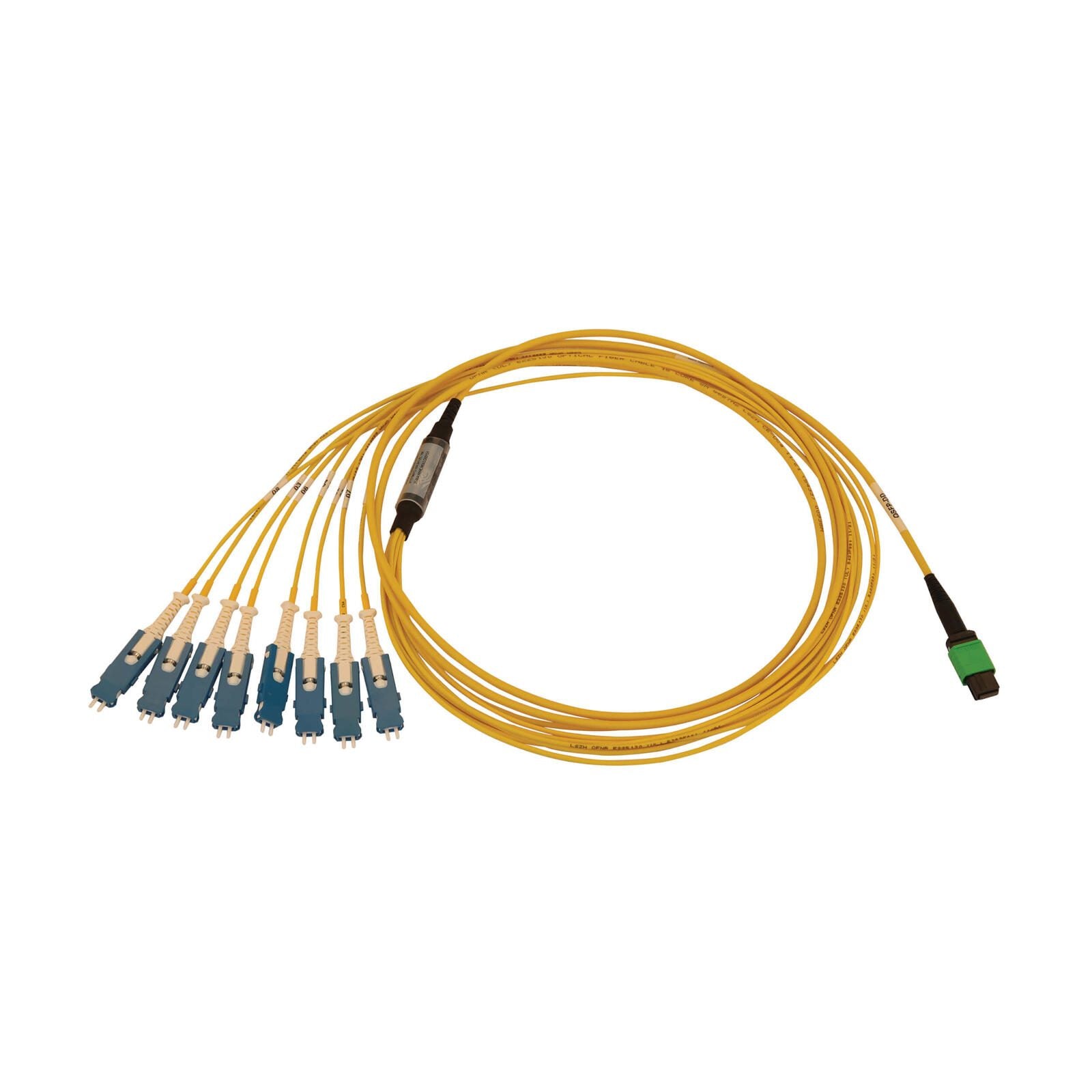 Eaton Tripp Lite Series 40/100/400G Singlemode 9/125 OS2 Breakout Fiber Optic Kabel (16F MTP/MPO-APC zu 8x Duplex SN-UPC