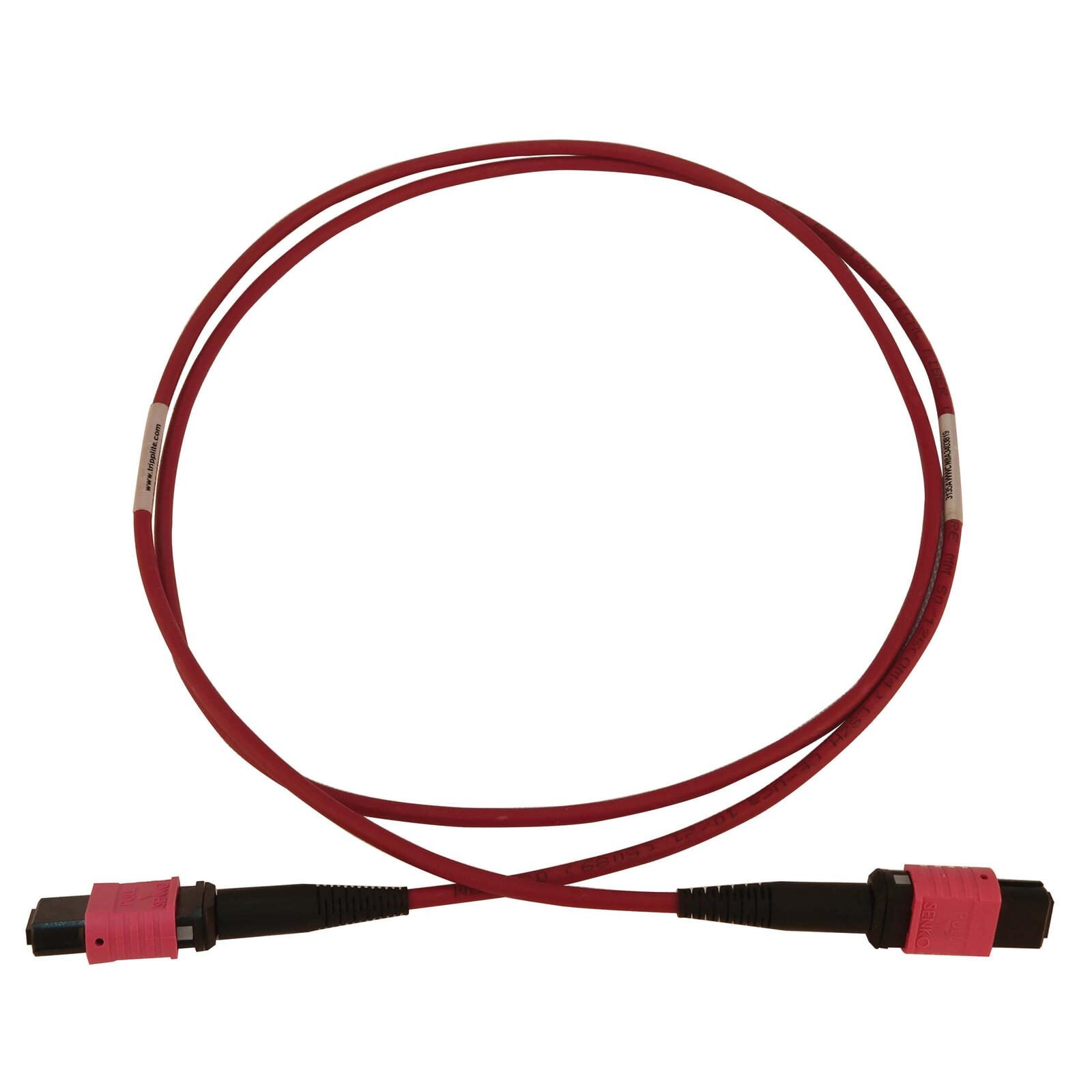 Eaton Tripp Lite Series 100G Multimode 50/125 OM4 Fiber Optic Kabel (12F MTP/MPO-PC F/F), LSZH, Magenta, 1 m (3.3 ft.)