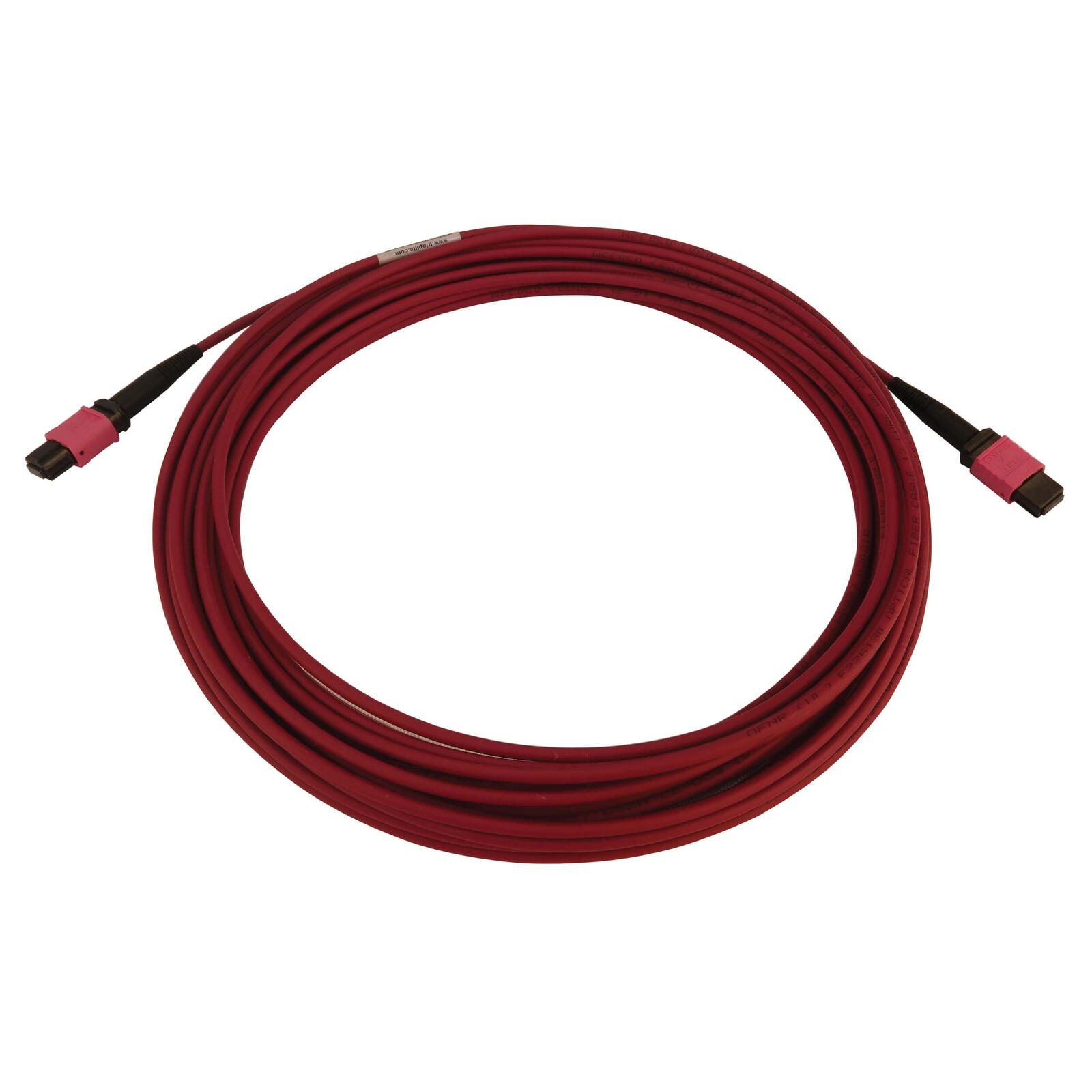 Eaton Tripp Lite Series 100G Multimode 50/125 OM4 Fiber Optic Kabel (12F MTP/MPO-PC F/F), LSZH, Magenta, 10 m (32.8 ft.)