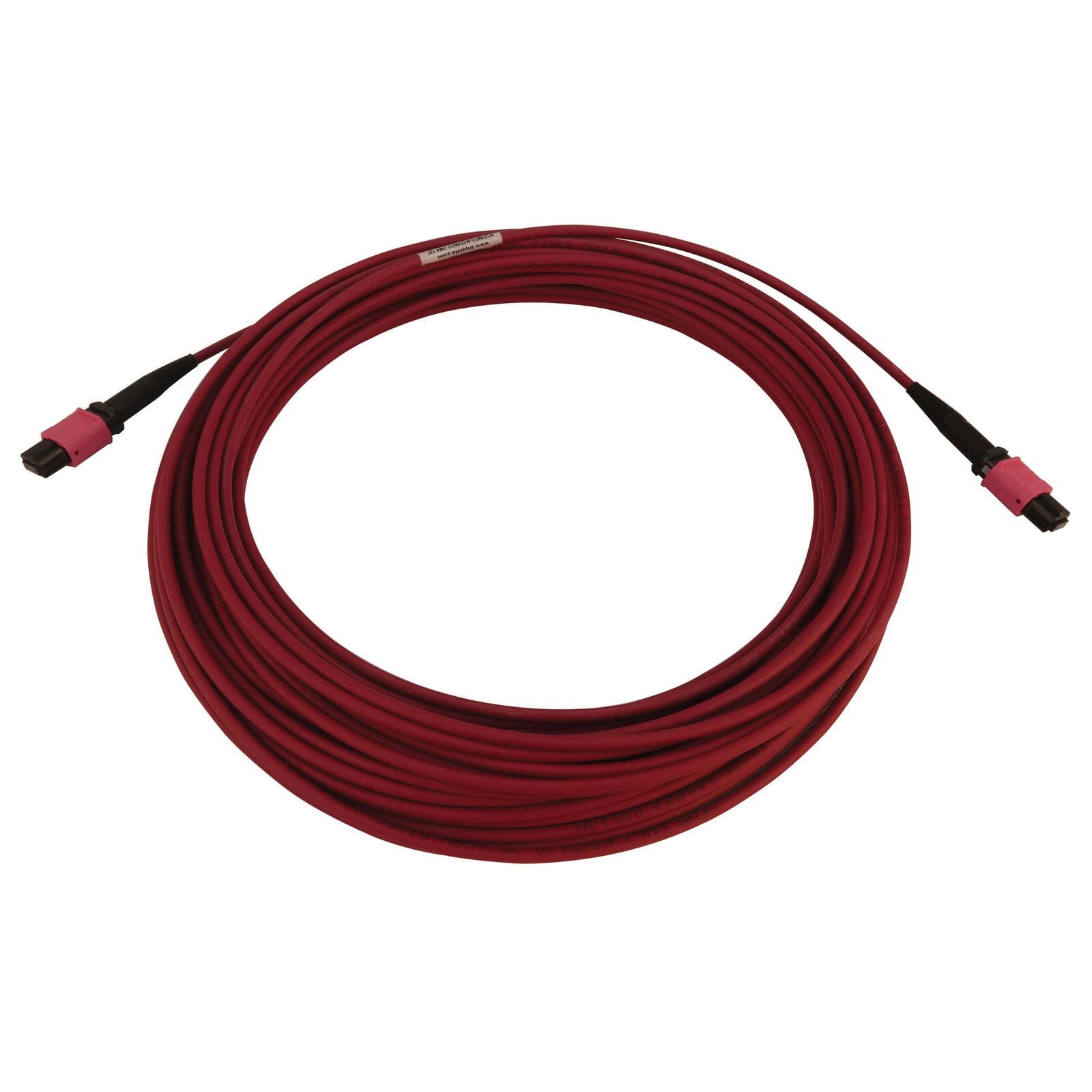 Eaton Tripp Lite Series 100G Multimode 50/125 OM4 Fiber Optic Kabel (12F MTP/MPO-PC F/F), LSZH, Magenta, 15 m (49.2 ft.)