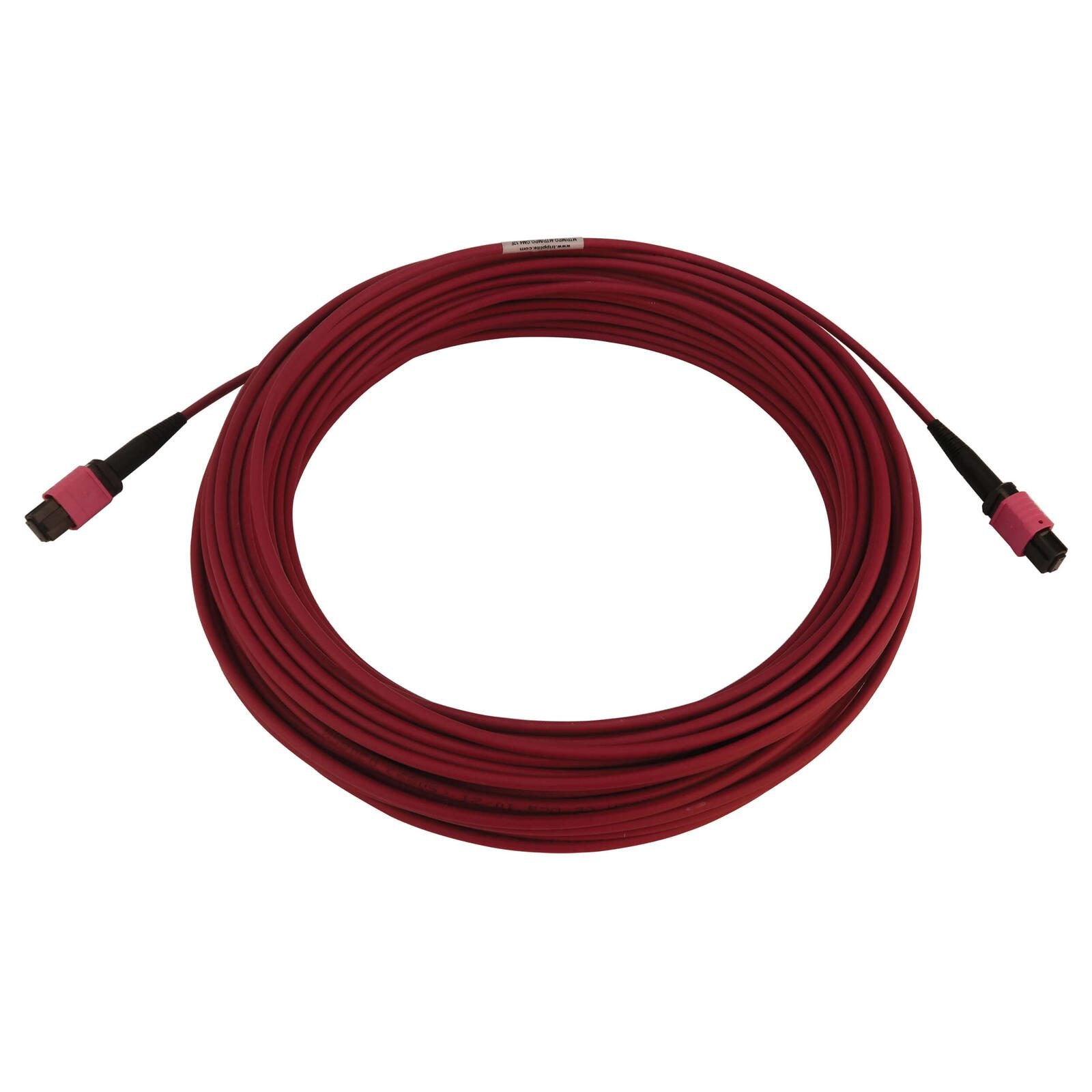 Eaton Tripp Lite Series 100G Multimode 50/125 OM4 Fiber Optic Kabel (12F MTP/MPO-PC F/F), LSZH, Magenta, 20 m (65.6 ft.)